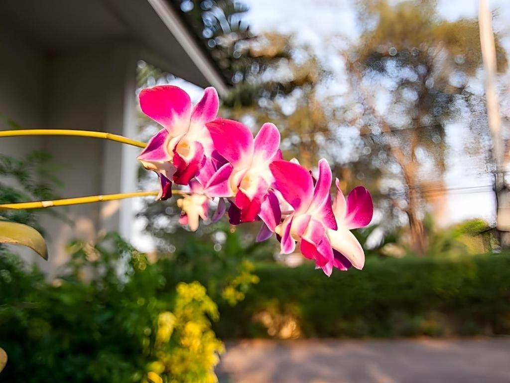Chayada Garden House And Resort Hotel Nakhonratchasima Екстериор снимка